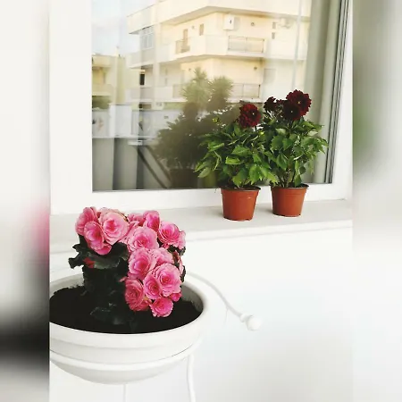 Bed & Breakfast B&B Ohana Gallipoli